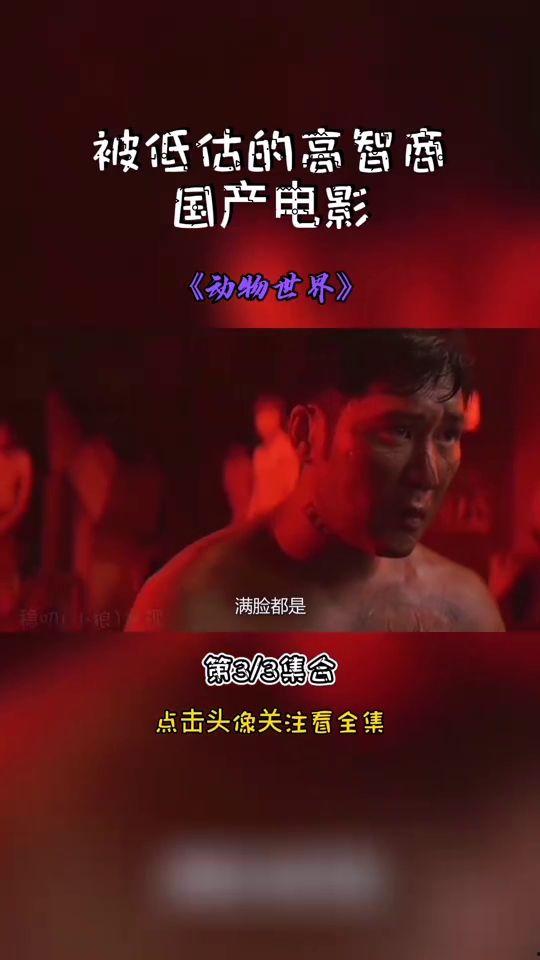 最搞笑国产节目视频下载,笑破肚皮！盘点年度最搞笑国产节目视频下载盛宴