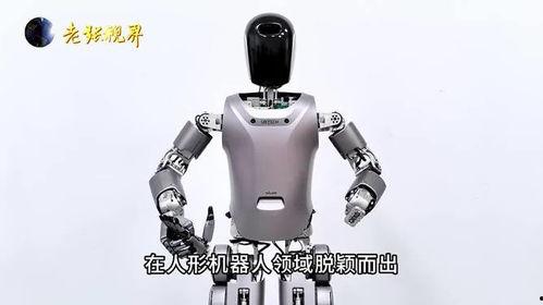 国产机器人的视频,智能创新引领未来工业革命