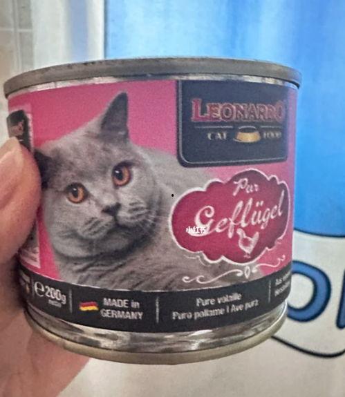 国产猫罐头工厂视频,匠心独运，品质生活新选择