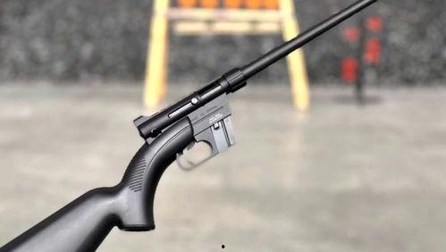 国产各种步枪的视频,传承与创新并行的枪械传奇