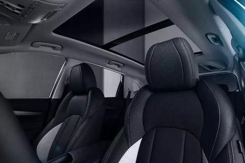 国产汽车送货视频播放,视频揭秘高效物流风采