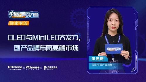 国产经理视频,揭秘职场精英的成长之路