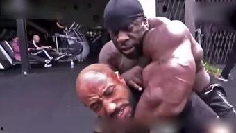 国产肌肉健身视频,肌肉力量与激情的视觉盛宴